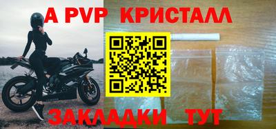 мет Кингисепп