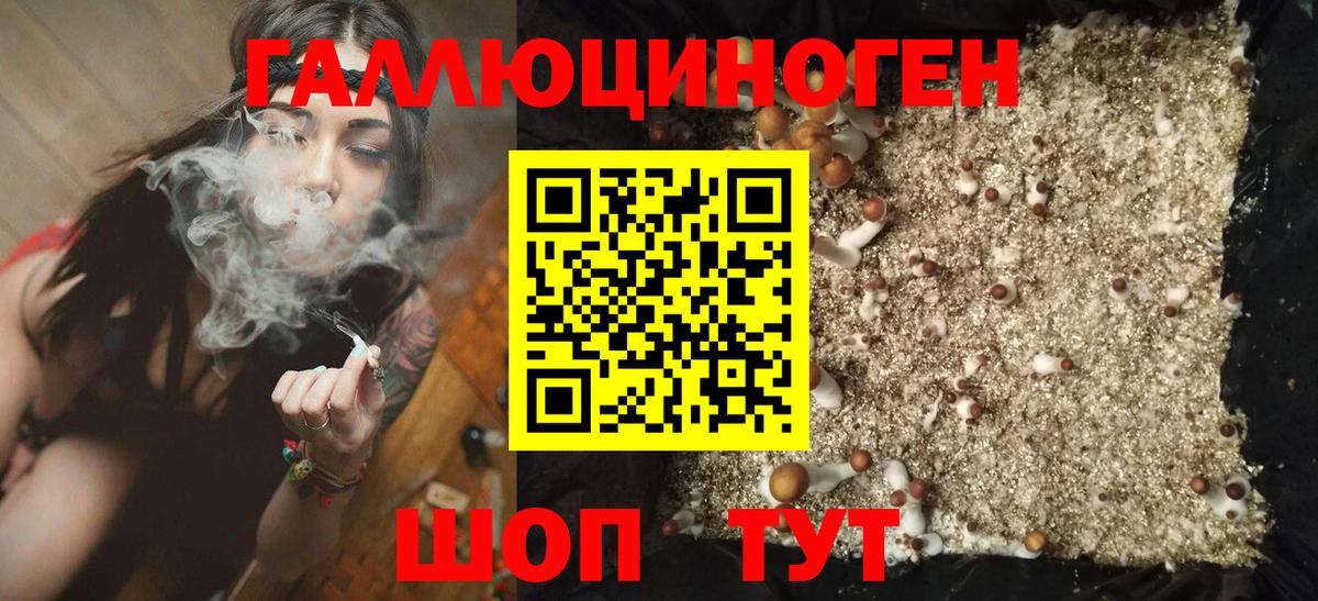 Псилоцибиновые грибы MAGIC MUSHROOMS Краснодар