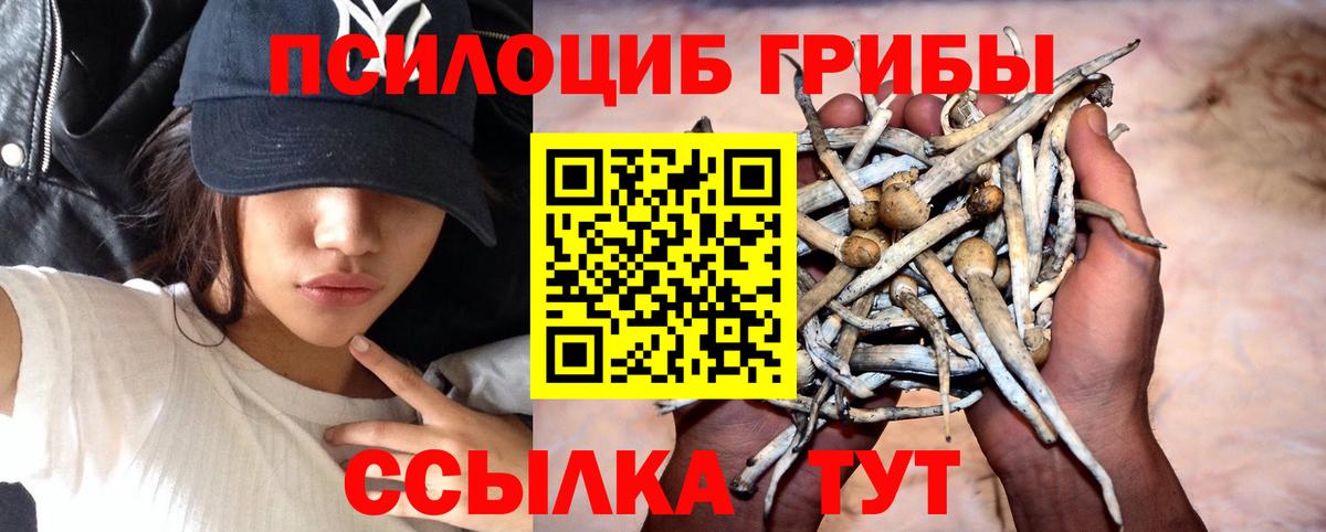 Краснодар  Псилоцибиновые грибы мухоморы  Вход с VPN 